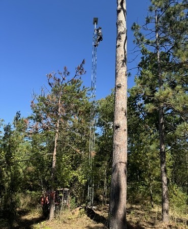 Starlink Mounted on tower in Hayward, Wisconsin