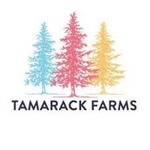 Tamarack Winery, the best pizza, award winning wines, and wordly famous BBQ in Hayward Wisconsin